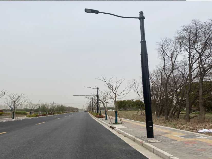 永仁县上海综合杆 太阳能路灯工程